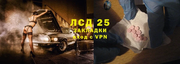 гашик Зеленокумск
