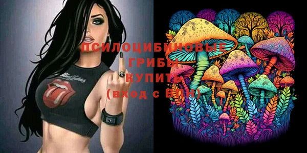 крисы Заволжск