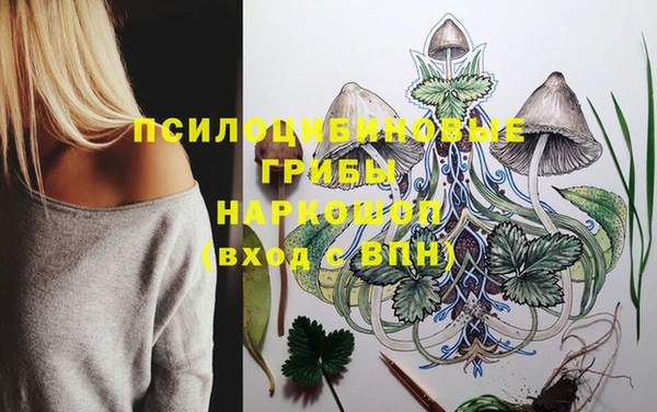 крисы Заволжск