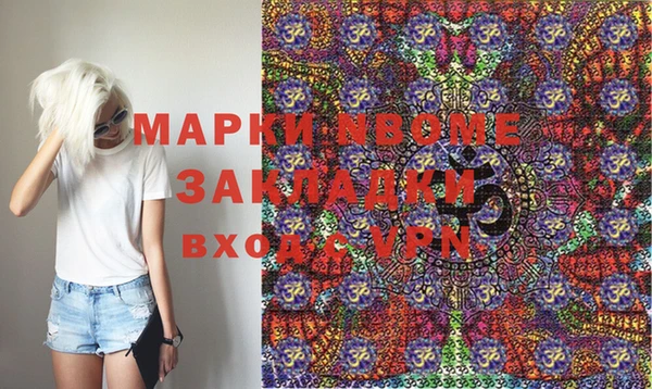 гашик Зеленокумск