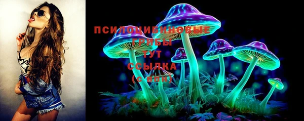 spice Заводоуковск
